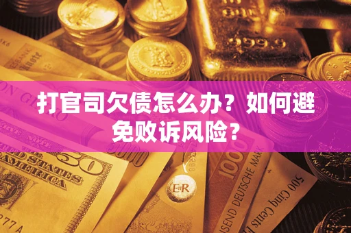 北京打官司欠债怎么办？如何避免败诉风险？