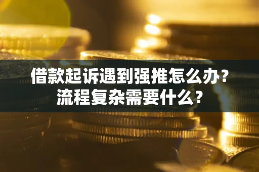 北京借款起诉遇到强推怎么办？流程复杂需要什么？