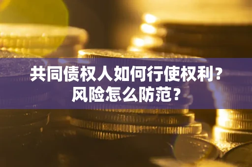 北京共同债权人如何行使权利？风险怎么防范？