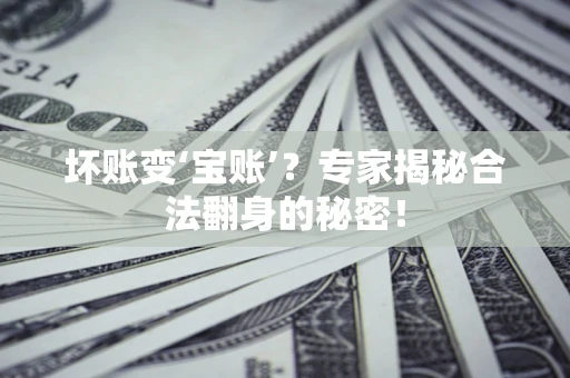 北京坏账变‘宝账’？专家揭秘合法翻身的秘密！