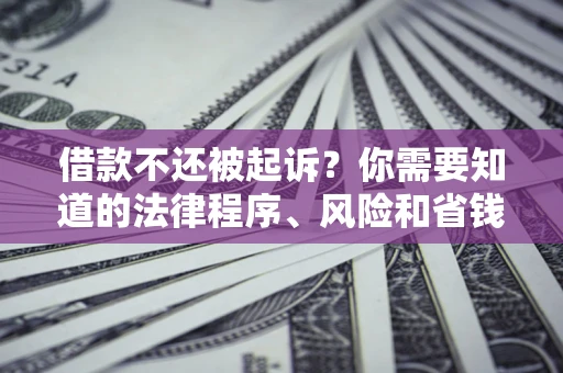 北京借款不还被起诉？你需要知道的法律程序、风险和省钱技巧